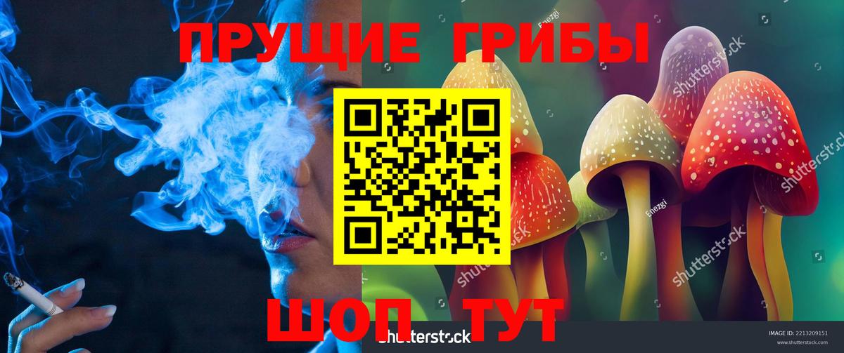 Псилоцибиновые грибы Magic Shrooms Всеволожск