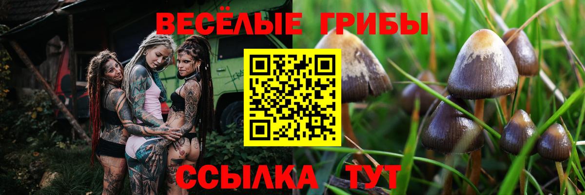 Галлюциногенные грибы Cubensis  Вход с VPN  Всеволожск 